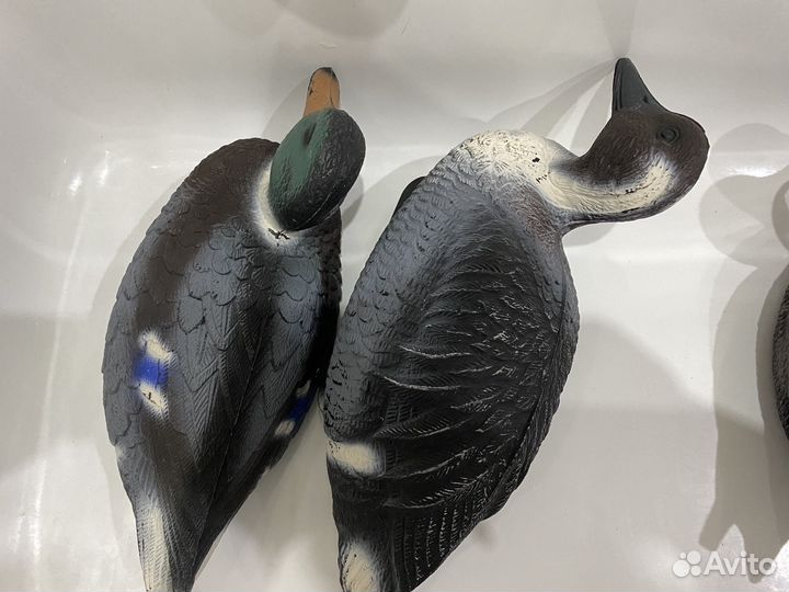 Утки подсадные для охоты