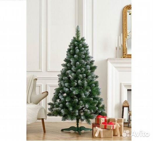 Ель Королева белоснежная премиум 120 - 180 см
