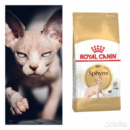 Корм для Сфинксов Sphynx Роял Канин 7кг