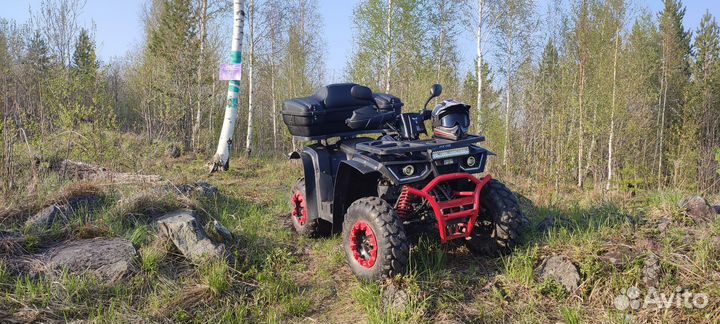 Avantis hunter 200 new