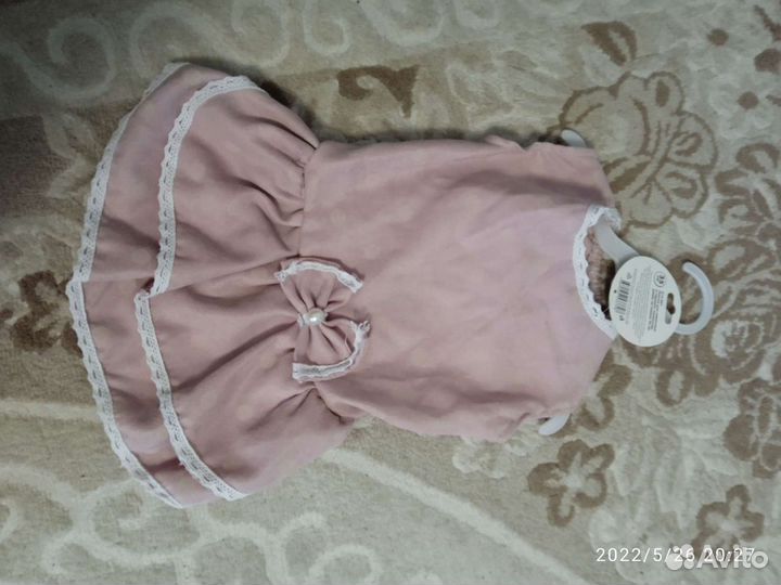 Вещи для собак и кошек