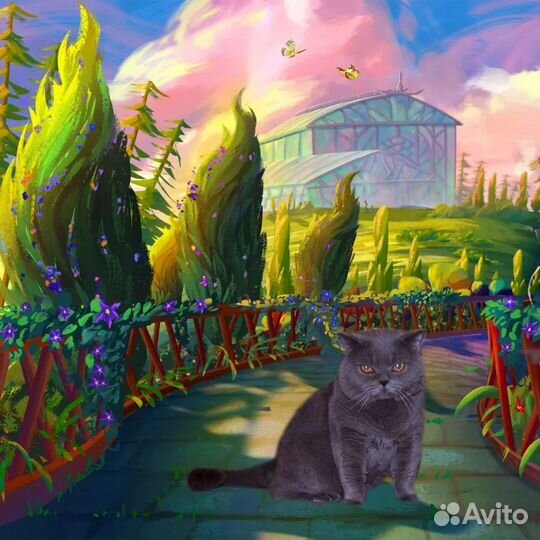 Шотландский кот для вязки