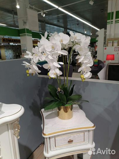 Орхидеи в интерьере