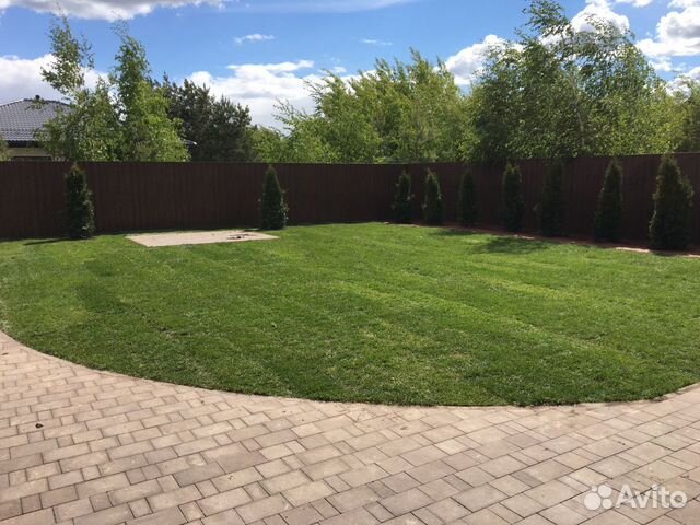 Рулонный газон