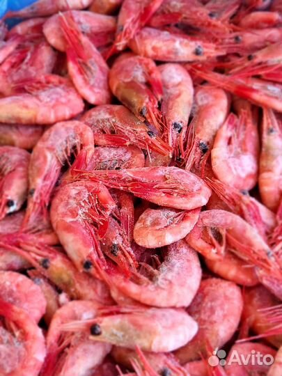 Креветка, крабы, мидии, рыба, морепродукты опт