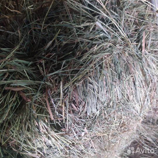 Продам сено в тюках