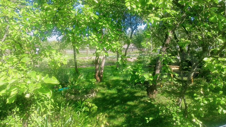 Дача 12 м² на участке 6 сот.