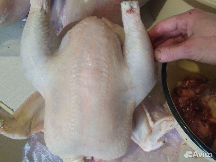 Куры бройлеры