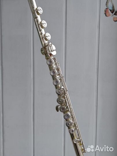 Флейта Tvevor James Cantabile 31 CF/ Perfomenes