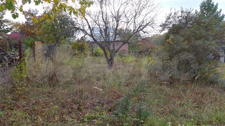 Участок 3,1 сот. (СНТ, ДНП)