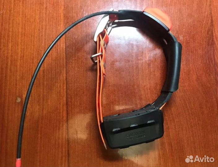 Навигатор Garmin Astro 320 ошейник Т5