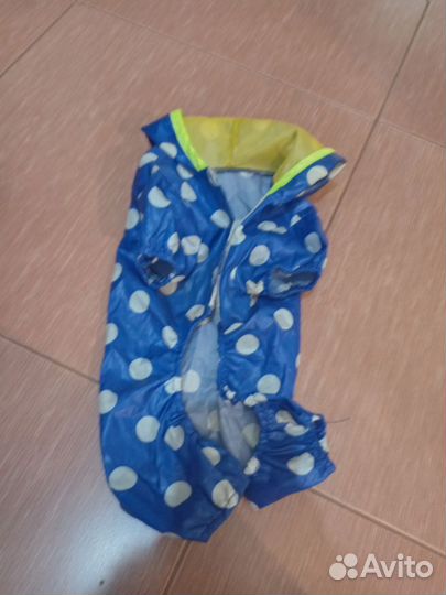 Одежда для собак