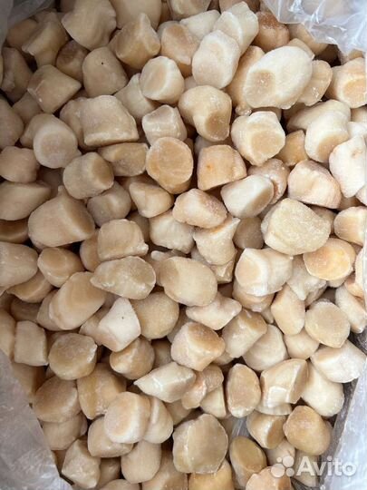 Филе Сахалинского Гребешка