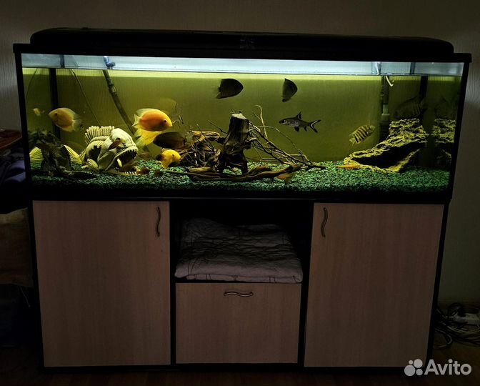 Аквариум 400л