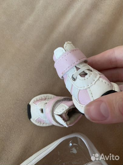 Обувь для маленьких собак