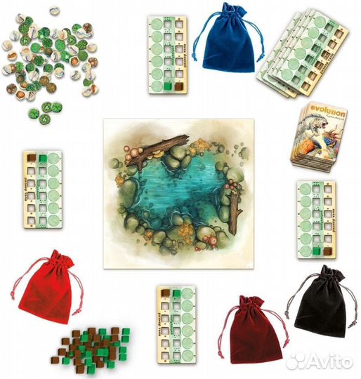 Настольная игра «Эволюция. Естественный отбор»