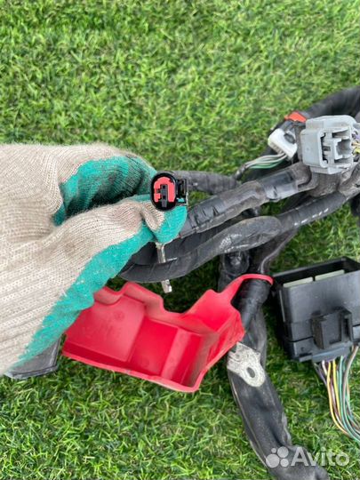 Проводка двигателя Ford Explorer 6 2020