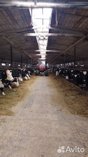 Животноводческая ферма продаю