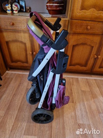 Прогулочная коляска Rant Vega