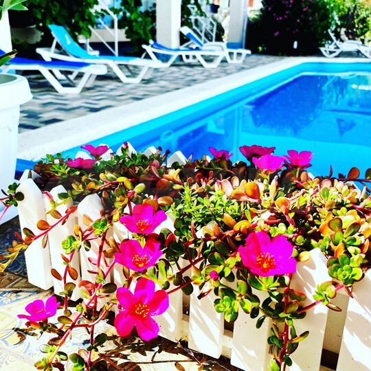 Комната 25 м², 1/3 эт.