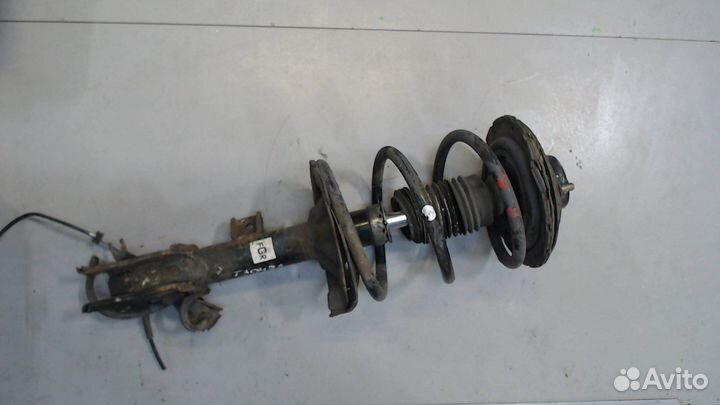 Амортизатор подвески Nissan Murano, 2006