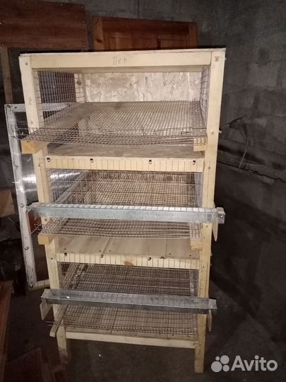 Клетка для перепелов