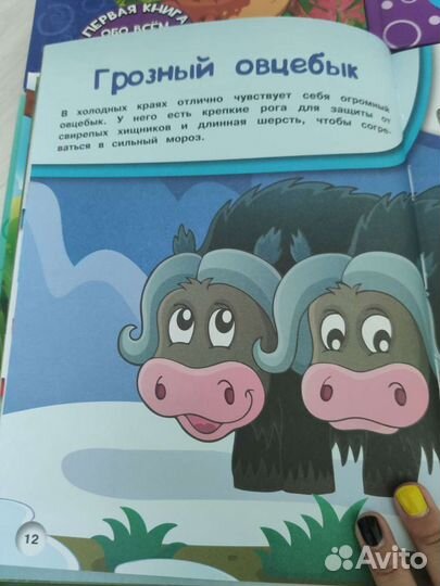 Первая книга об о всех на свете