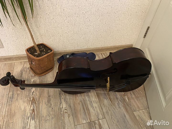 Скрипки, пюпитер