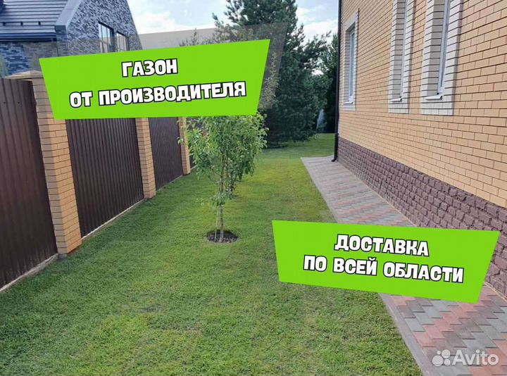 Рулонный газон, газон посевной