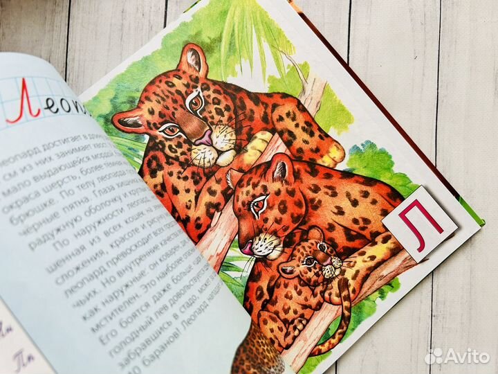 Г. Шалаева, книги для детей