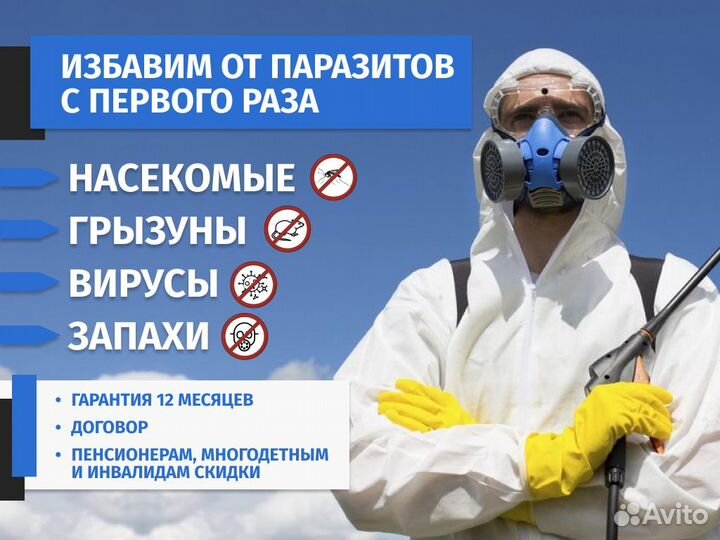 Уничтожение Клопов Клещей Ос Грызунов Борщевика