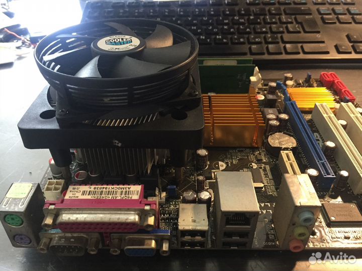 Материнская плата asus P5QPL-AM