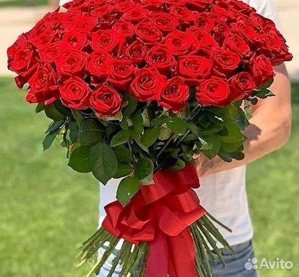 Букет роз 101 роза 51 роза