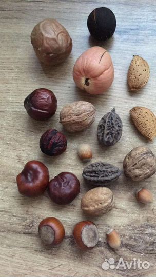 Интерьерные композиции из природных материалов