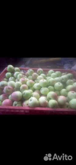 Яблочный сок, кабачки и яблоки