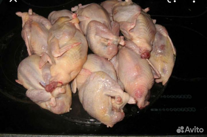 Мясо перепелов