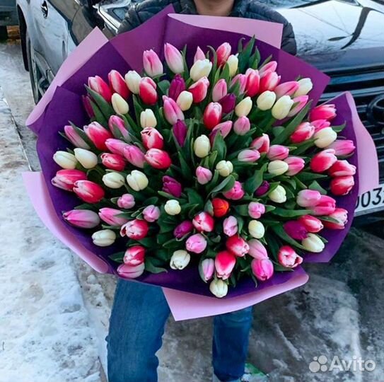 Тюльпаны Оптом 19 25 49 101 Цветы Букеты