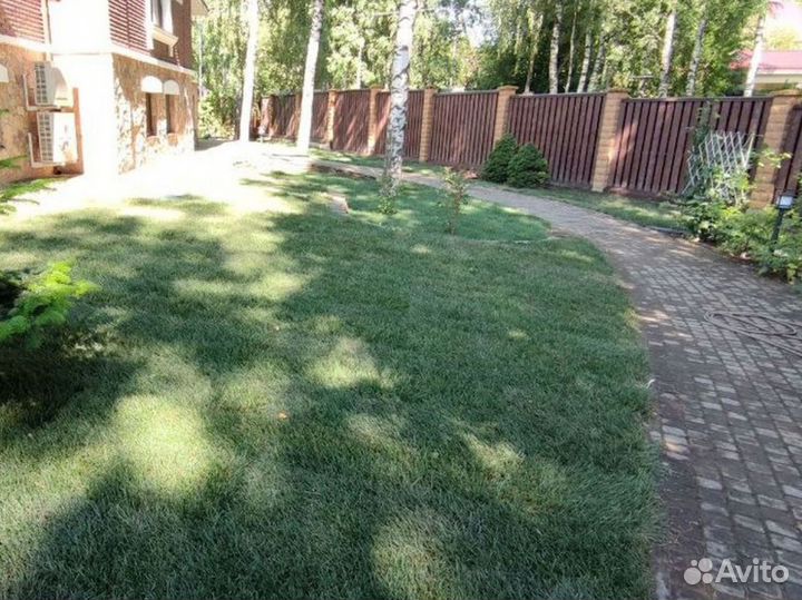 Полевой рулонный газон 