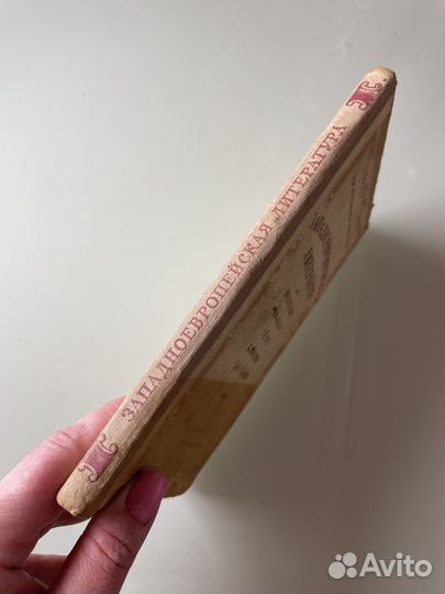 Муравьева Тураев 