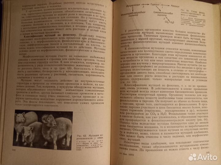 Учебник Генетика с основами селекции Лобашев 1979