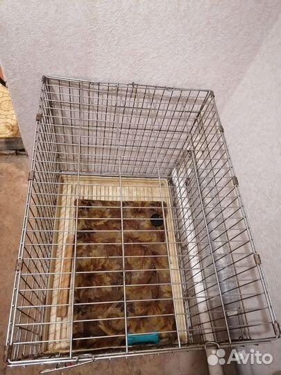 Клетка для собак