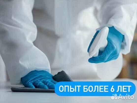 Уничтожение насекомых, тараканов и клопов