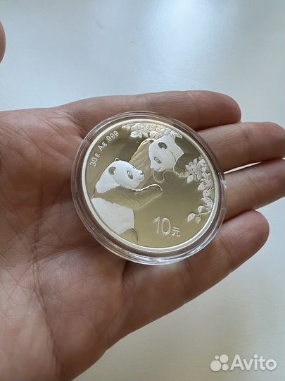 Китай 10 юань, 2023 панда