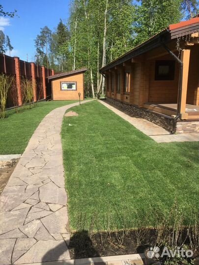 Укладка и продажа газона эконом