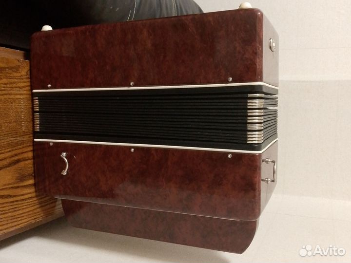 Баян Огонек 2