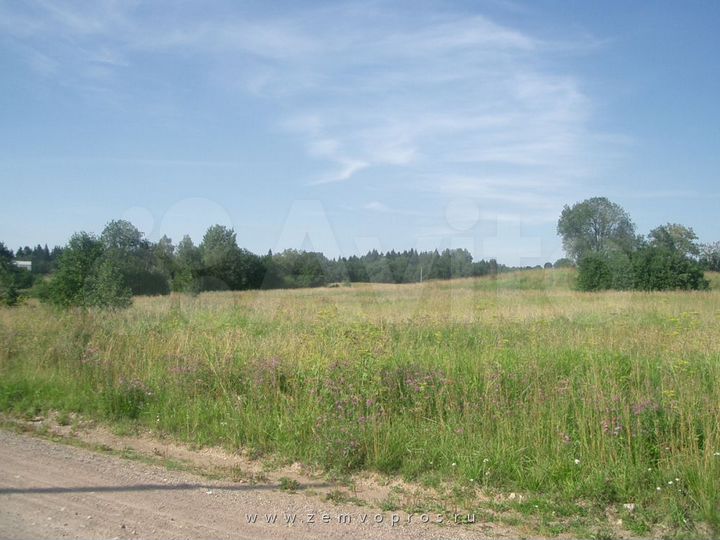 Участок 2 га (ИЖС)