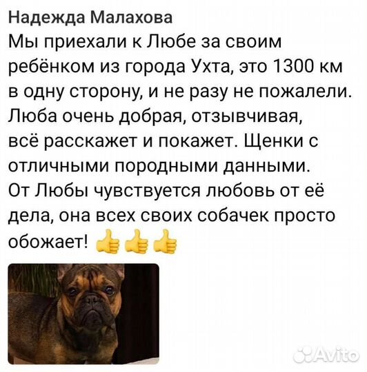Щенки,Вязка