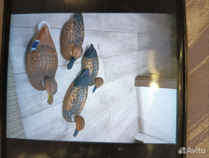 Утки подсадные для охоты