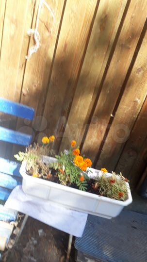 Дом 20 м² на участке 6 сот.