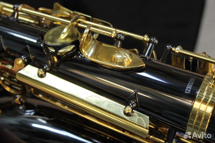 Саксофон альт Roy Benson AS-202K